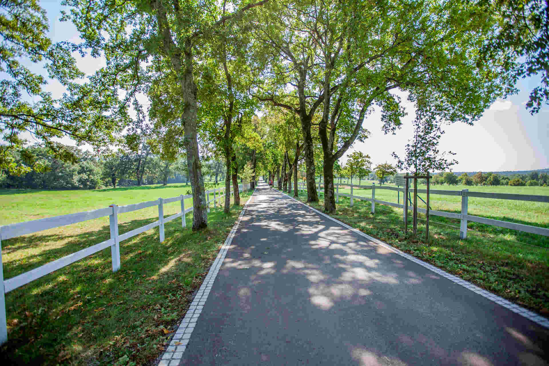 A high angle shot of a road surrounded by fences and trees in Lipica, National Park in Slovenia